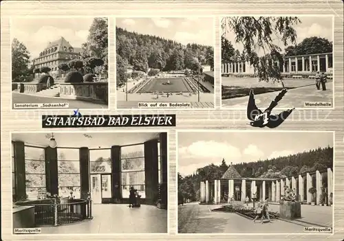 Bad Elster Sanatorium Sachsenhof Badeplatz Wandelhalle Moritzquelle Kat. Bad Elster