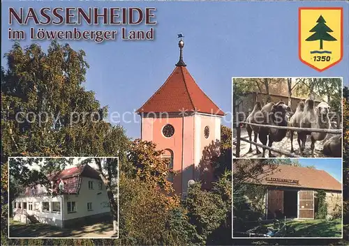 Nassenheide Dorfkirche Kamele Fleckschnupphof Kindergaestehaus der GFJ Kat. Loewenberger Land