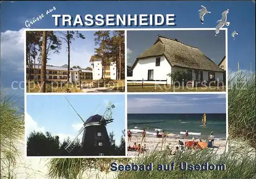 Trassenheide Usedom Rohrdachhaus Windmuehle Strand Moewen Kat. Trassenheide