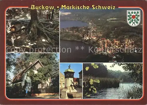 Buckow Maerkische Schweiz Naturdenkmal Wurzelfichte Brecht Weigel Haus Brunnen Markt Abendrothsee Fliegeraufnahme Kat. Buckow Maerkische Schweiz