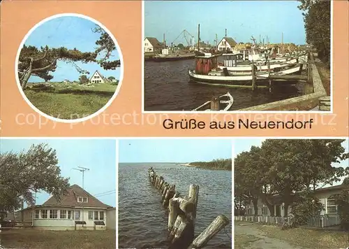 Neuendorf Hiddensee Windfluechter Hafen Strand Restaurant Hotel am Meer Kat. Insel Hiddensee