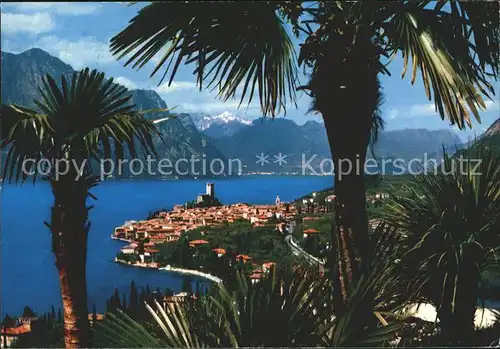 Malcesine Lago di Garda Panorama Gardasee Alpen Kat. Malcesine