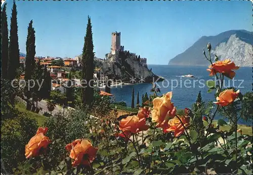 Malcesine Lago di Garda  Kat. Malcesine