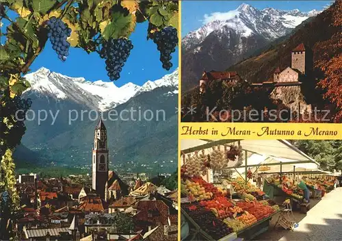 Merano Suedtirol Markt Burg  Kat. Merano