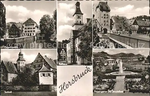 Hersbruck Wassertor Pegnitzpartie Schloss Rosengarten Kat. Hersbruck