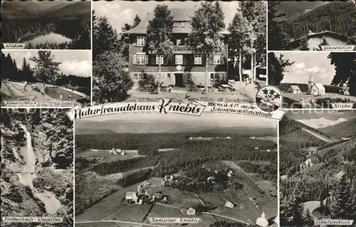 Kniebis Freudenstadt Naturfreundehaus Glaswaldsee Elbachsee Wildsee Kat. Freudenstadt