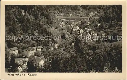 Krippen Bad Schandau Fliegeraufnahme Kat. Bad Schandau