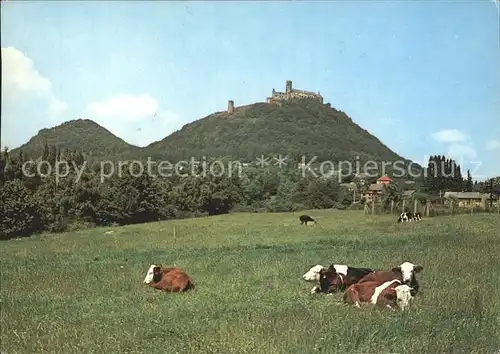 Bezdez Hrad Burg Kat. Schlossboesig