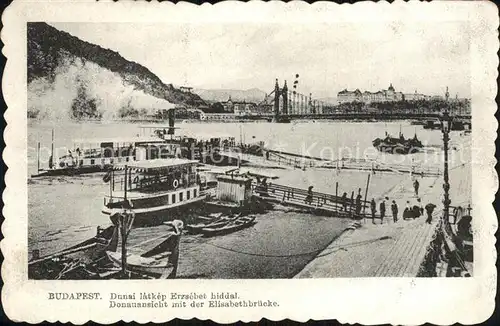 Budapest Donau mit Elisabethbruecke Kat. Budapest