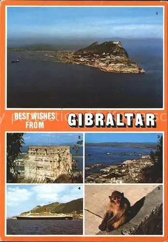 Gibraltar The Rock Affe Kat. Gibraltar