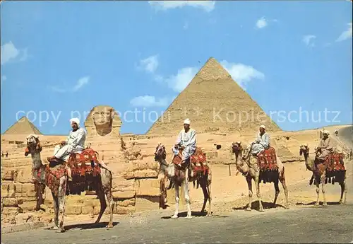 Cairo Egypt Pyramiden und Sphinx Camele Kat. Cairo