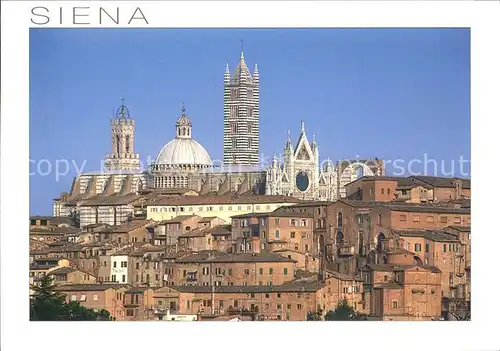 Siena Dom  Kat. Siena