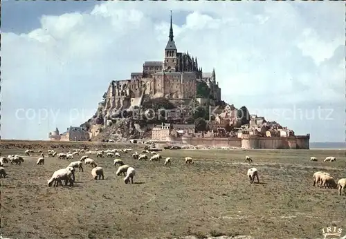 Le Mont Saint Michel Salzweiden Kat. Le Mont Saint Michel