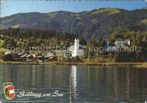 Goldegg Vom See aus gesehen Kat. Goldegg am See