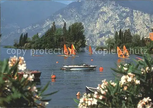 Malcesine Lago di Garda Uferpartie am Gardasee Windsurfen Kat. Malcesine