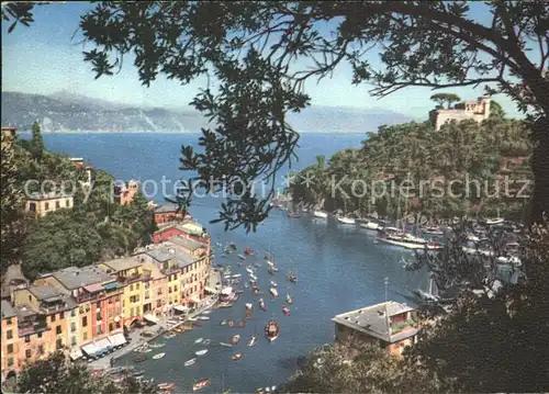 Portofino Liguria Panorama tra gli Ulivi Porto Hafen Kat. Portofino
