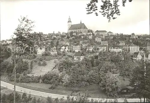 Schneeberg Erzgebirge Ortsansicht mit Kirche Kat. Schneeberg