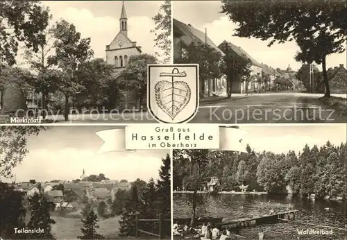 Hasselfelde Marktplatz Strassenpartie Waldfreibad Teilansicht Wappen Kat. Hasselfelde