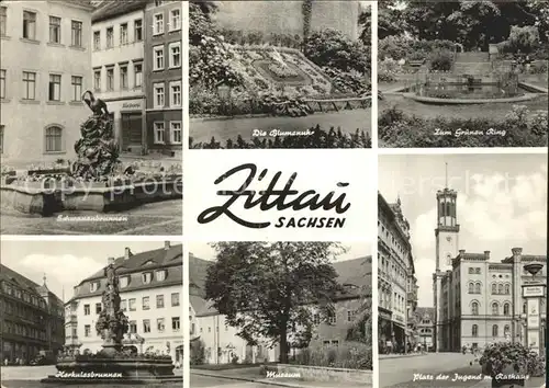 Zittau Schwanenbrunnen Blumenuhr Zum Gruenen Ring Platz der Jugend Rathaus Museum Herkulesbrunnen Kat. Zittau