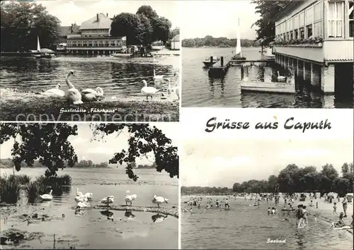 Caputh Gaststaette Faehrhaus Schwaene Seebad Strand Kat. Schwielowsee