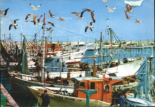 San Benedetto Del Tronto Porto Hafen Fischkutter Moewen Kat. San Benedetto Del Tronto