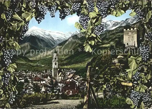 Merano Suedtirol Ortsansicht mit Alpenpanorama Weinreben Weintrauben Kat. Merano