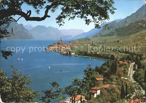 Malcesine Lago di Garda Panorama Gardasee Alpen Kat. Malcesine