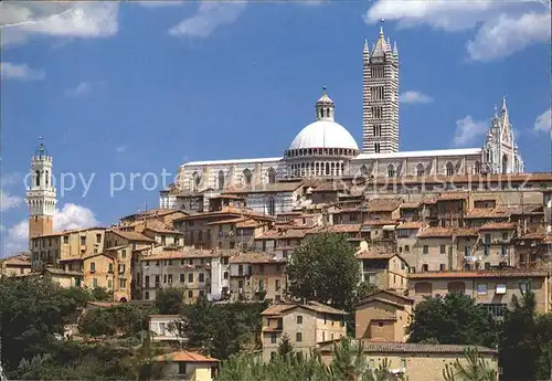 Siena Altstadt Basilika Kirche Kat. Siena