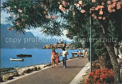 Malcesine Lago di Garda Lungomare Seepromenade Gardasee Baumbluete Alpen Kat. Malcesine