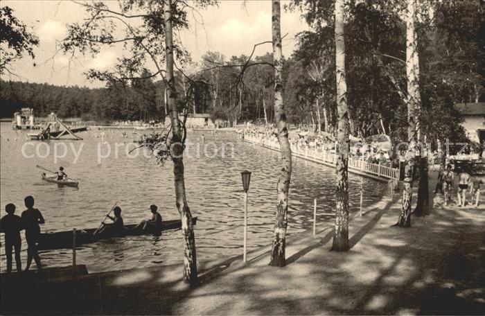 AK / Ansichtskarte Dahlen Sachsen Rathaus Waldbad Schmannewitz Alter