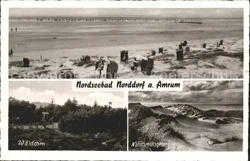 Norddorf Amrum Strandpartie Waeldchen Duenen Kat. Norddorf