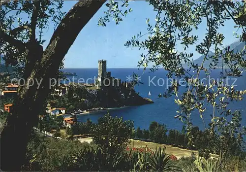 Malcesine Lago di Garda Il castello Scorcio panoramico Kat. Malcesine