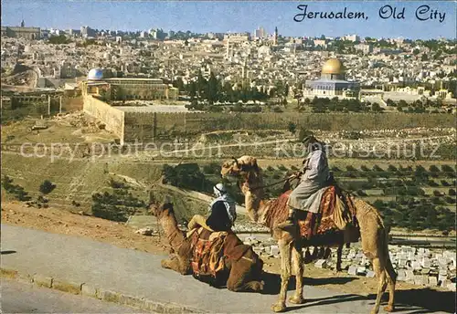 Jerusalem Yerushalayim Old City Kamelreiter Kat. Israel