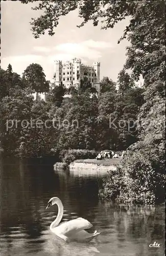 Hohenschwangau Schloss Alpsee Schwan Kat. Schwangau