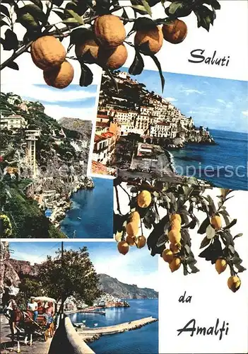 Amalfi Teilansichten Kueste Hafen Pferdekutsche Zitronenbaeume Kat. Amalfi