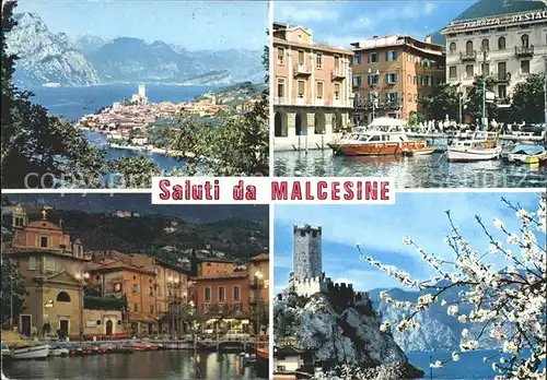 Malcesine Lago di Garda Panorama Gardasee Hafen Burg Baumbluete Kat. Malcesine