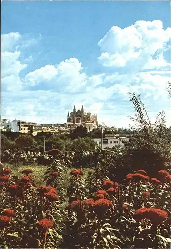 Palma de Mallorca Catedral Kat. Palma de Mallorca