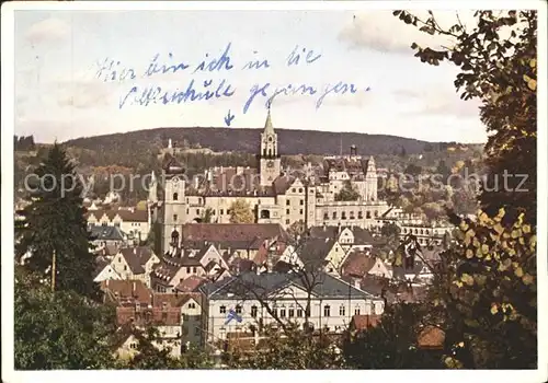 Sigmaringen Schloss und Stadtblick Kat. Sigmaringen