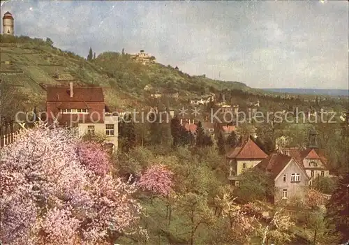 Radebeul Bluehende Loessnitz mit Friedensburg und Wasserturm Kat. Radebeul