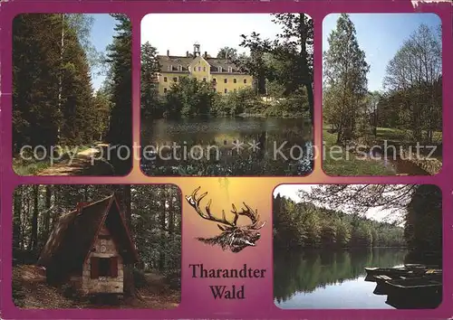 Tharandt Waldweg Schloss Kleines Haeuschen See Kat. Tharandt
