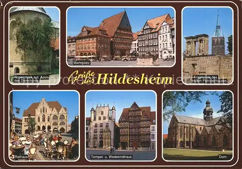 Hildesheim Rosenstock am Domchor Marktplatz Altes Patrizierhaus Rathaus Tempel und Wedekindhaus Dom Kat. Hildesheim