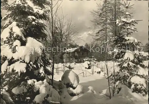 Friedrichroda Tanzbaude im Winter Kat. Friedrichroda