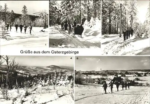 Geising Erzgebirge Pferdeschlittenpartie Kahleberggebiet Zinnwald Georgenfeld  Kat. Geising Osterzgebirge