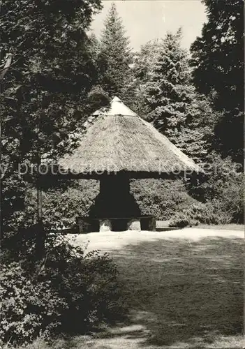 Buckow Maerkische Schweiz Kurpark  Kat. Buckow Maerkische Schweiz