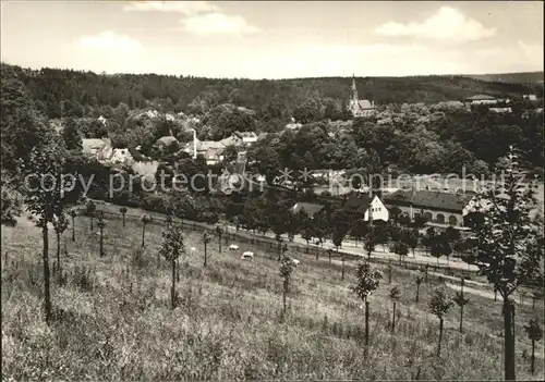 Berggiesshuebel  Kat. Bad Gottleuba Berggiesshuebel