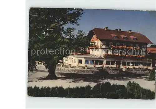 Bernried Starnberger See Hotel Seeblick Kat. Bernried