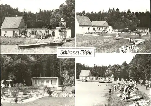 Schlegel Zittau Schlegeler Teiche Teilansichten / Hirschfelde Zittau /Goerlitz LKR