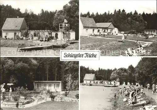 Schlegel Zittau Schlegeler Teiche Teilansichten / Hirschfelde Zittau /Goerlitz LKR