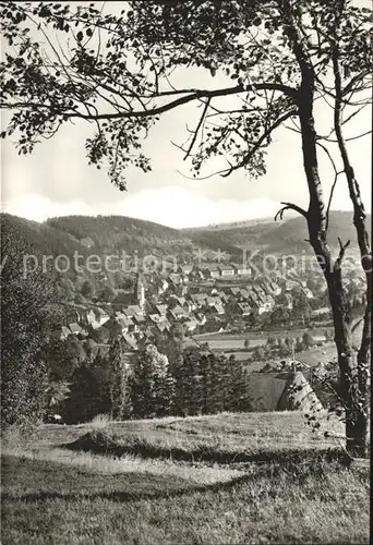 Geising Erzgebirge Blick auf Geising Kat. Geising Osterzgebirge