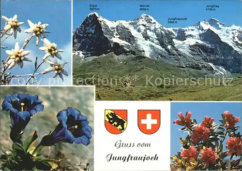 Jungfraujoch Eiger Moench Jungfrau Kat. Jungfrau